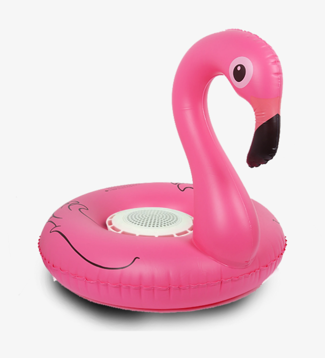 Sizzling Summer Fun